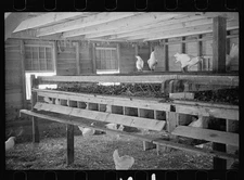 Untitled,Farm Security Administration,FSA,Unidentified Location,Chicken Coop