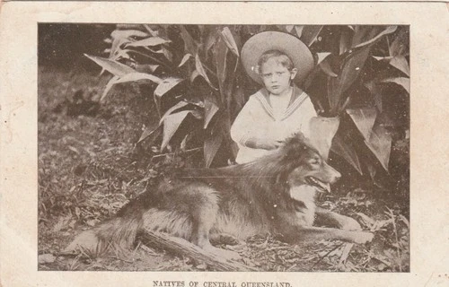 VINTAGE POSTCARD   Q.I.T.BUREAU   NATIVE OF CENTRAL QUEENSLAND   1900s