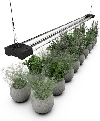 Dymond GL46BLKS1 | 4 ft. LED Grow Light Full Spectrum 5000K Daylight and 660 nm