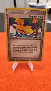 Tropical Wind | eBay