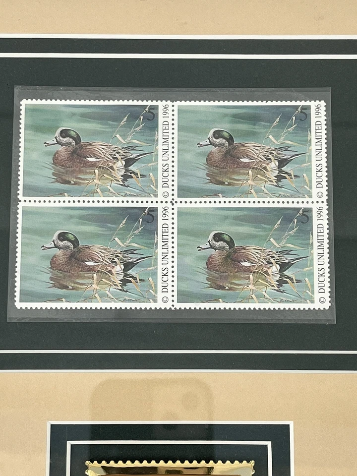Framed Vintage Ducks Unlimited $5 Stamps 1996 with Gold Foil $5 Stamp Matted - Image 3 of 4