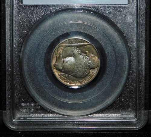 1916-D PCGS MS 63 Series 19 Coin: 14 Certification # 3932.63/22016133 Buffalo 5C - Picture 7 of 8