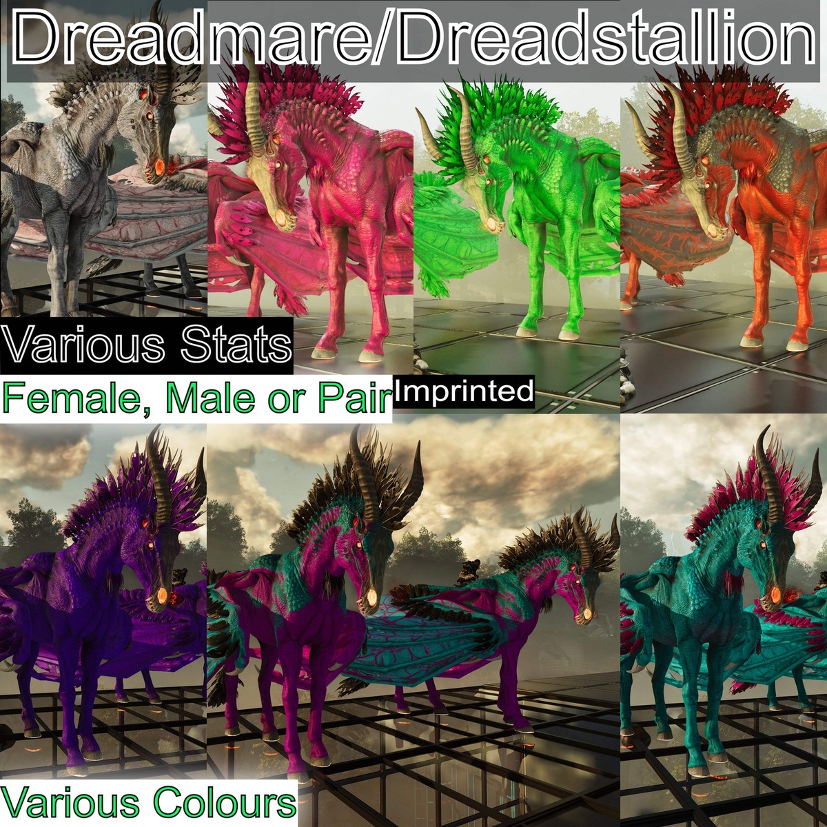 ASA🦖Ark Survival Ascended Pve Dreadstallion / Dreadmare 362 Lvl