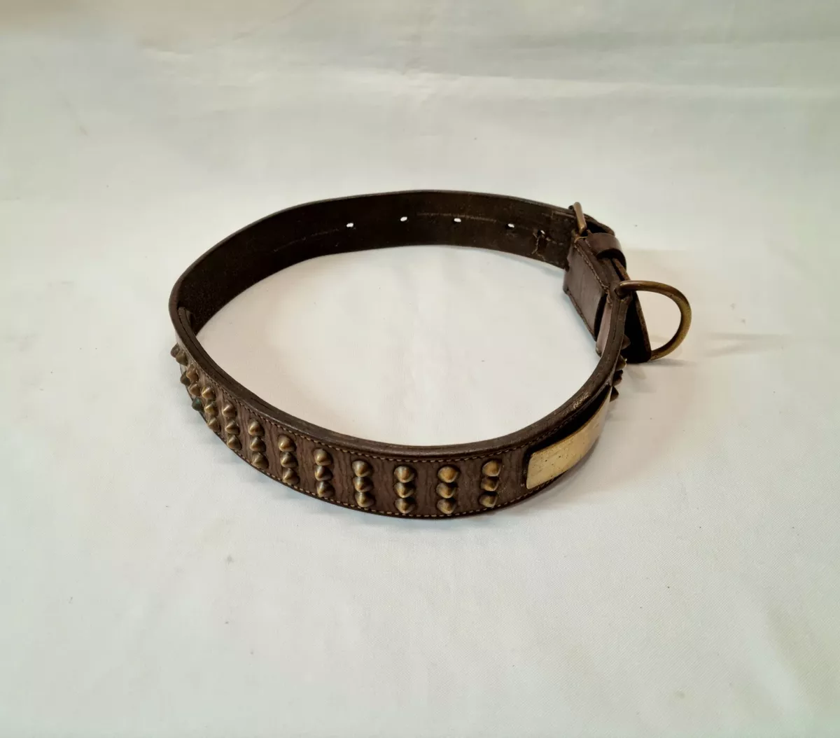 Brass studded dog best sale collar