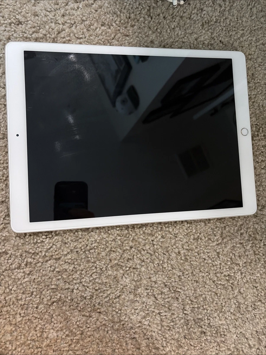 Apple iPad Pro (1st Generation) 11 in - 12.9 in Screen 256 GB