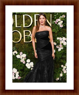 Sofia Vergara 8.5 x 11 Candid Color Unframed Collectable Photograph