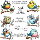 Funny Birds I am The Best Metal Cutting Dies And Clear Stamp Set Scrapbook Craft