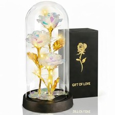Valentines Mothers Day Glass Rose Gifts for Mom Women - Rose Flower Colorful