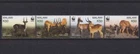 WWF Malawi postfris 2003 MNH 721-724 - Dieren/Animals (252) read !!!!