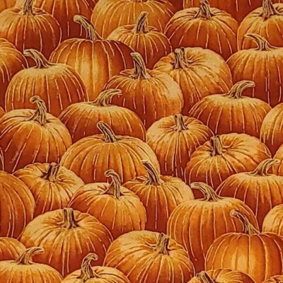 Fall Pumpkins Fabric Metallic Gold Accents Quilters Cotton SCANT 7/8 YARD