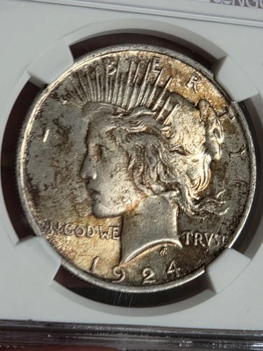 1924 $1 Peace Dollar NGC MS64 Toned