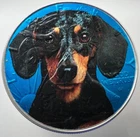 Dachshund Dog -  American Silver Eagle 1oz .999 Limited Ed. Silver Dollar Coin
