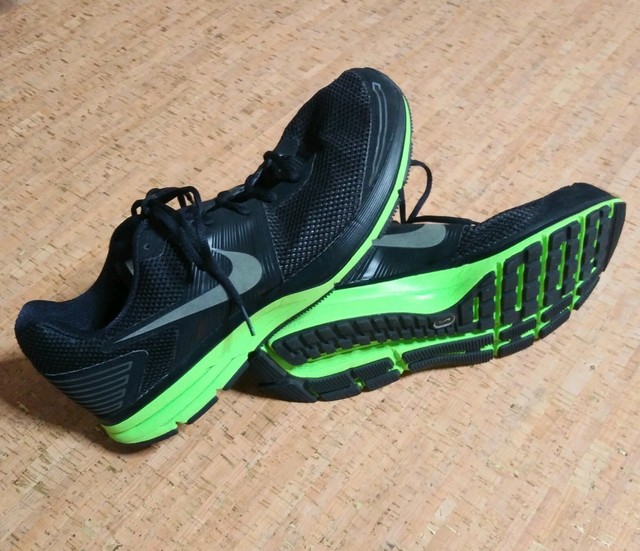 nike pegasus 29 opinioni