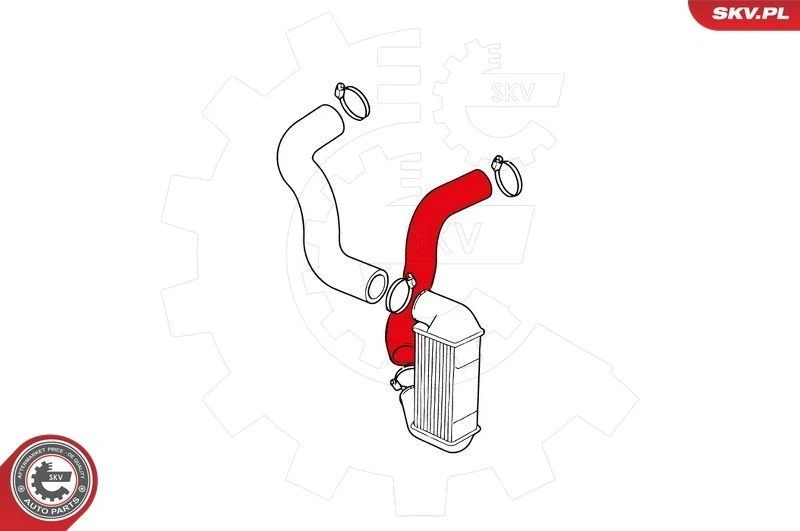 ESEN SKV 24SKV130 Turbo Ladeluftschlauch für ROVER 25 Schrägheck (RF) 200 (RF) - Bild 4 von 4