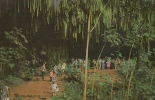 Fern Grotto Kauai Wailua River Island of Kauai Hawaii Postcard