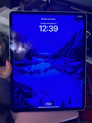 Apple iPad Pro 6th Gen. 128GB, Wi-Fi, 12.9in - Silver (CA)