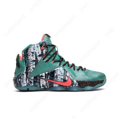 Size 10 - Nike LeBron 12 Xmas Akron Birch for sale online | eBay