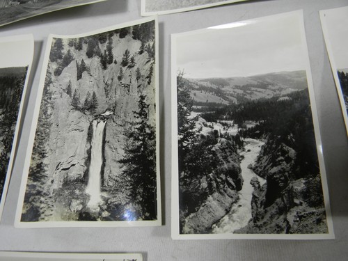 Parco Yellowstone ? Foto Lotto di 13, Orso che nutre, cascata, cabine - 2G - Foto 6 di 12