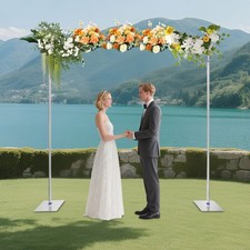 10ft x10 ft Heavy Duty Stand Photography Backdrop Background for Wedding Silver