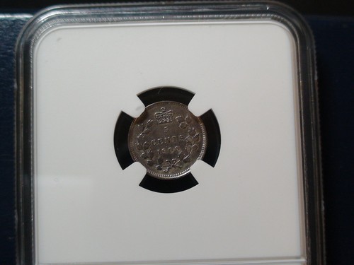 1900 Canada Five Cents NGC AU LARGE DATE SILVER 5C Coin BUY IT NOW! - Picture 3 of 4
