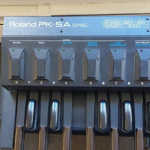 Roland Pk 5 | eBay