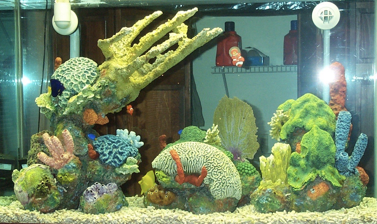 Image of Saltwater Reef Aquarium Fish Tank Complete Coral Reef System -Custom Made