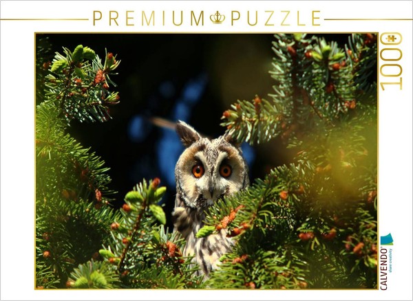 Calvendo Puzzle Long-Eared Owl | 1000 Pieces, Finished Size 25.2 × 18.9 In (64 ×-image