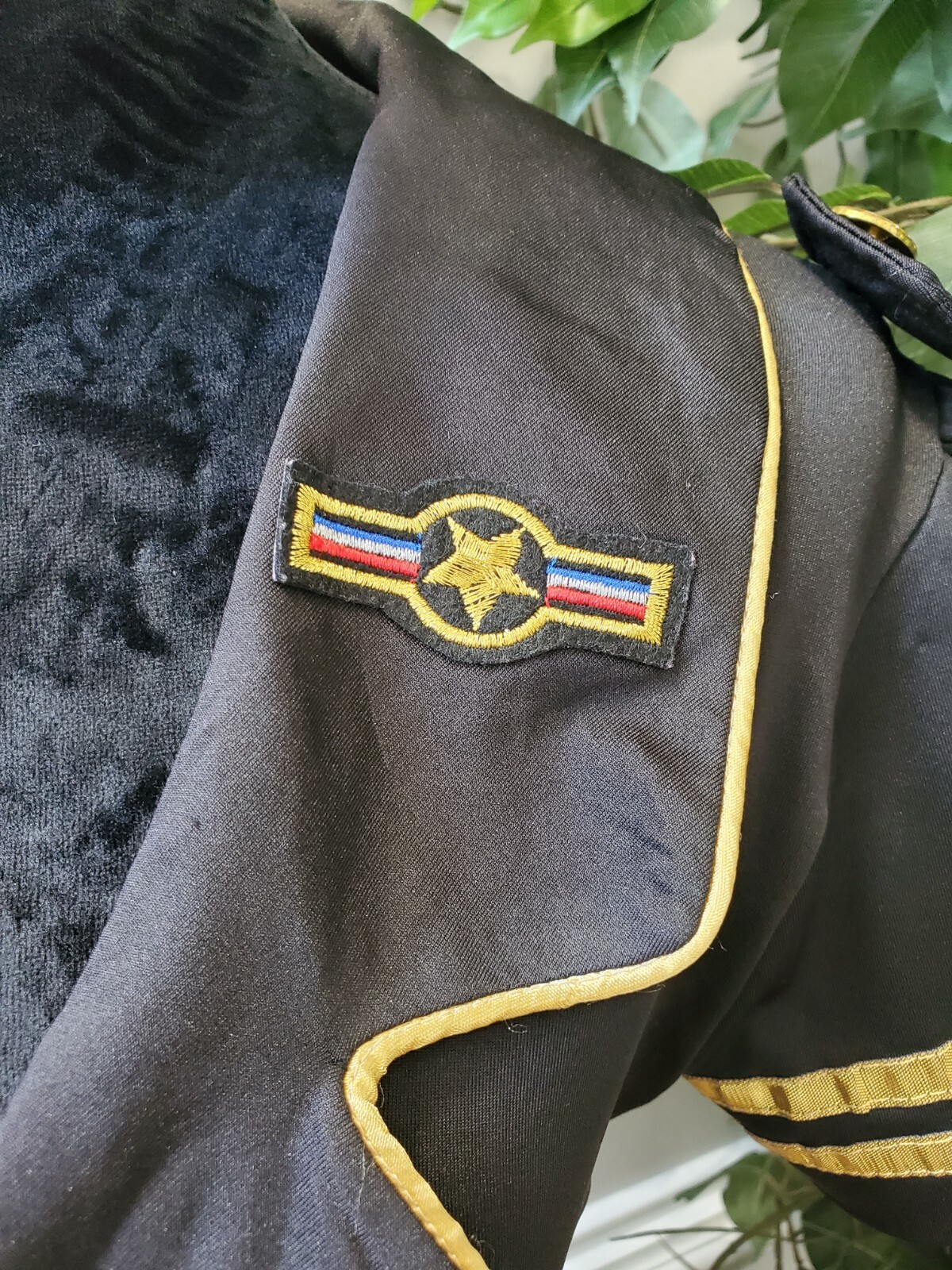 Delicious Women Solid Black Polyester Collared  S… - image 6