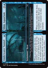 x4 Underwater Tunnel // Slimy Aquarium DSK Duskmourn MTG 79 COMMON M/NM 4x