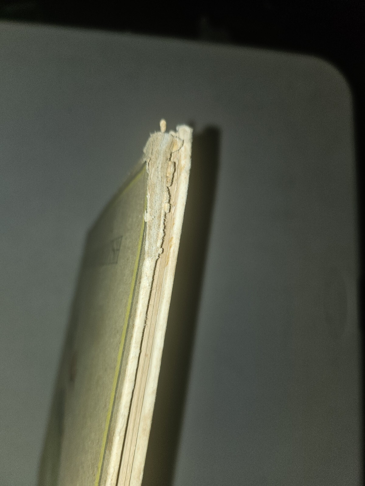 Picture 3 of 11