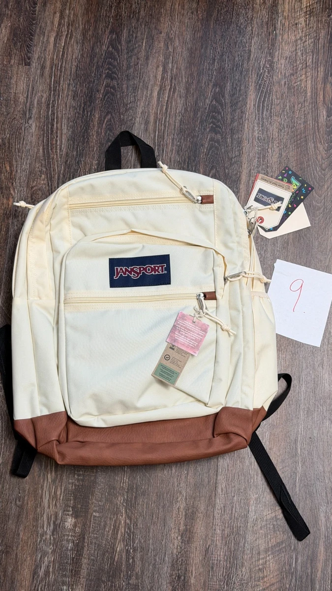 15.6 inch modernistic side zipper pocket anti-theft laptop backpack 15.6