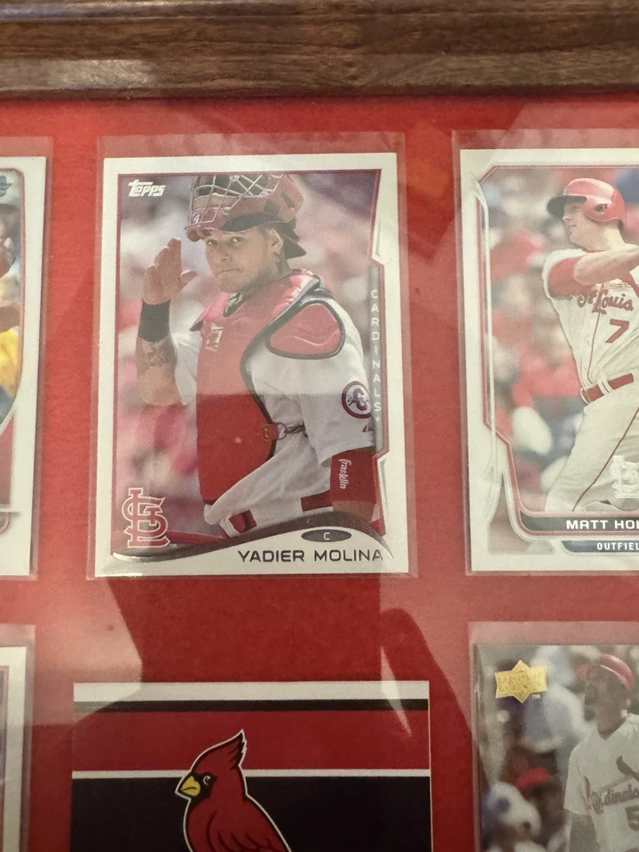 Mlb 2008 BB 8 卡套装带框安装。 圣路易斯红雀队 — 第 3/4 张图片