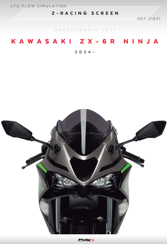 Pantalla Puig Z-Racing Deflector Transparente Kawasaki Ninja ZX-6R 24 - 25 - Imagen 8 de 10