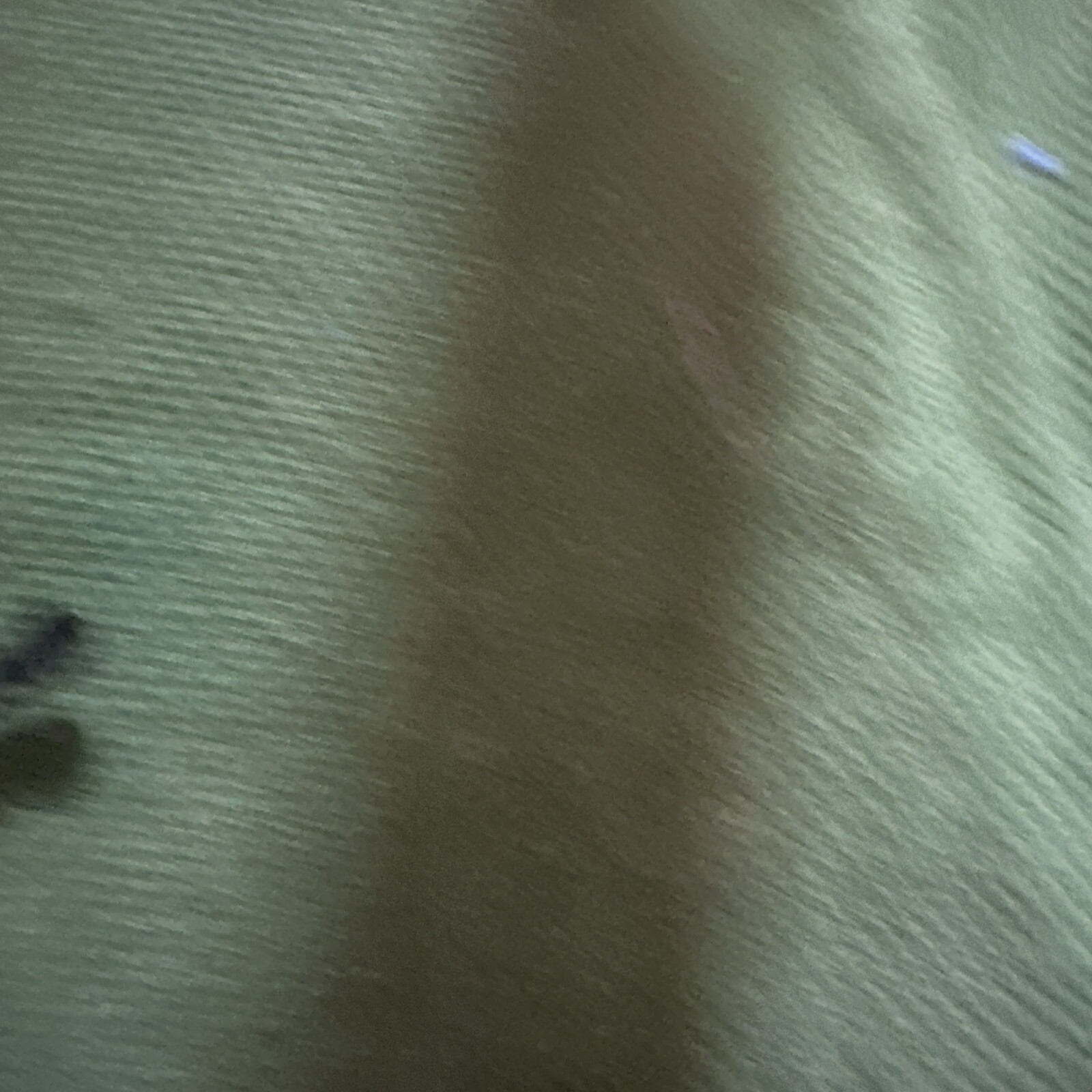 Picture 3 of 4