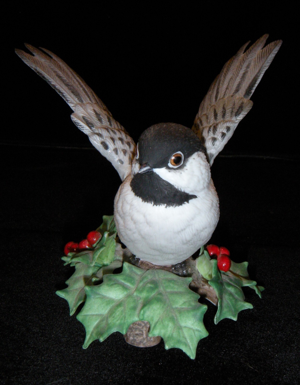 Picture 14 of 35