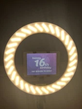 CLEARANCE❗️ DIY Ipad Photo Booth W/ Ring Light 🎉