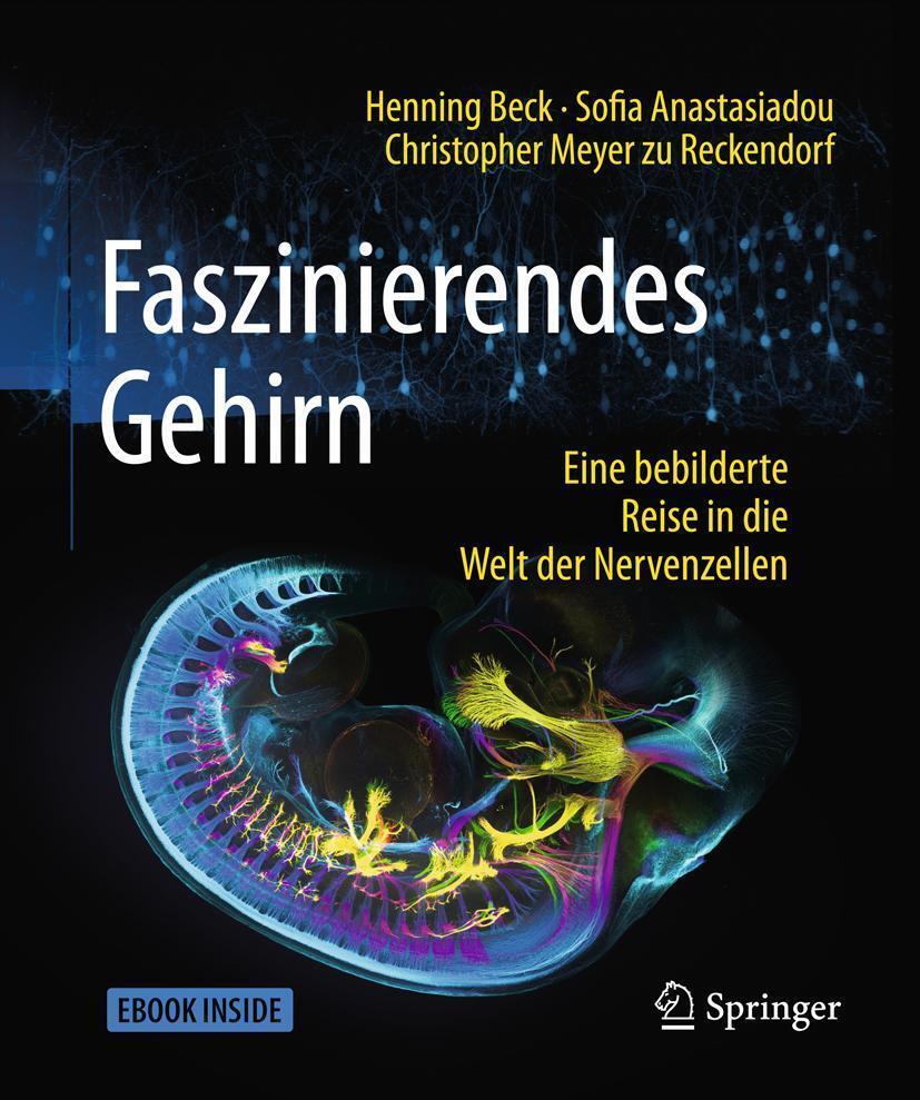 Thumbnail - Faszinierendes Gehirn Henning Beck