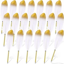 Chivao 20 Pcs Feather Quil Ballpoint Pens Bulk 0.5mm Ink Feathered Vintage Pe...