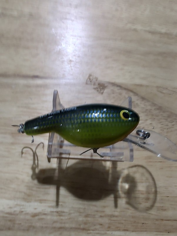 #809 Vintage Bagley Mama Cat Balsa Crankbait Fishing Lure