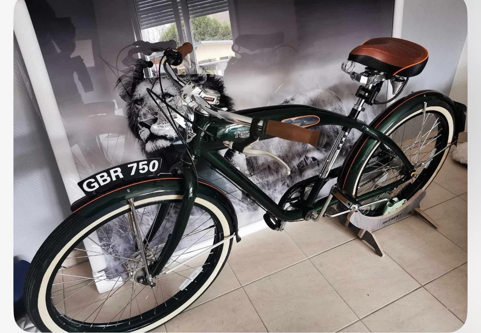 beach cruiser fahrrad bike von Felt, edel grun top zustand,Retrolook , oldschool - Bild 2 von 4