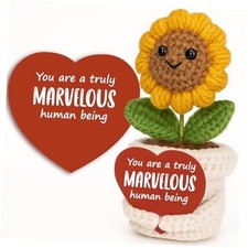 Crochet Sunflower Plush with Marvelous Message Card   Handmade Positive
