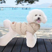 Manteau polaire pour chien, veste d'hiver pour temps froid, Cosplay, sweat-shirt
