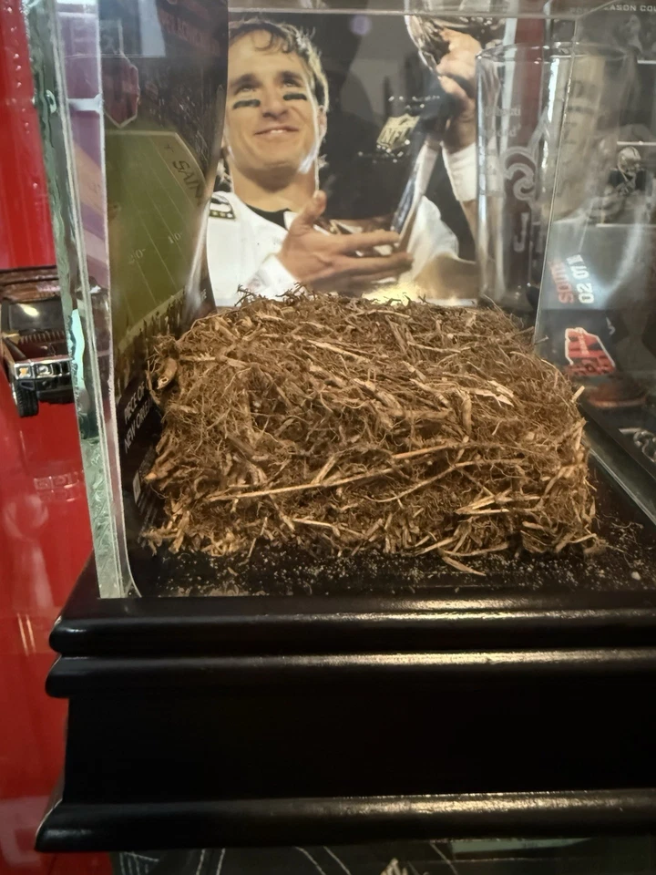 SUPER BOWL XLIV SOD GRASS USADO EN EL JUEGO NEW ORLEANS SAINTS END ZONE DRAW BREES Foto 3 de 4