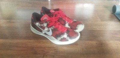 kobe 8 milk snake