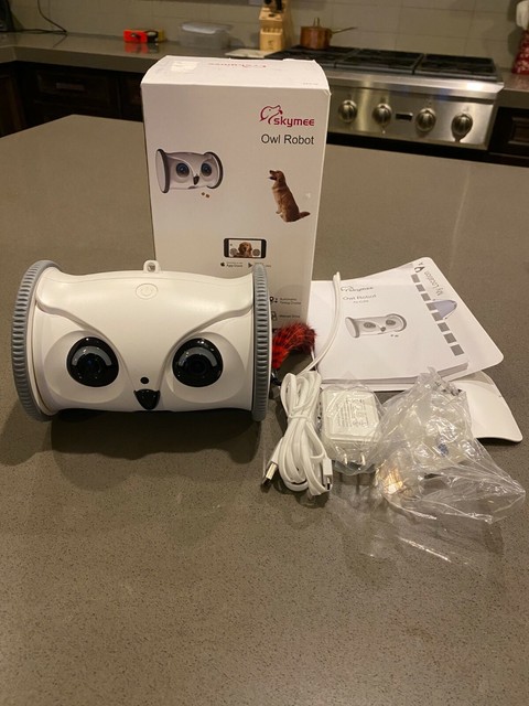 cat treat dispenser camera