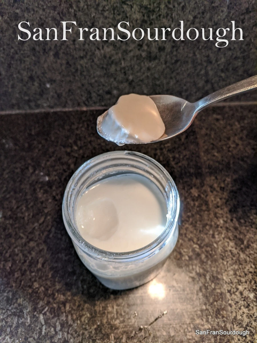 Viili Yogurt Starter Culture