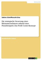 Die Strategische Steuerung Eines Kleinunternehmens Anhand Eines Praxisbeispiels.