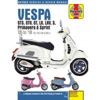 Vespa Gts, Gtv, Gt, Lx, Lxv, S, Primavera, Sprint (05-18) Reparaturhandbuch