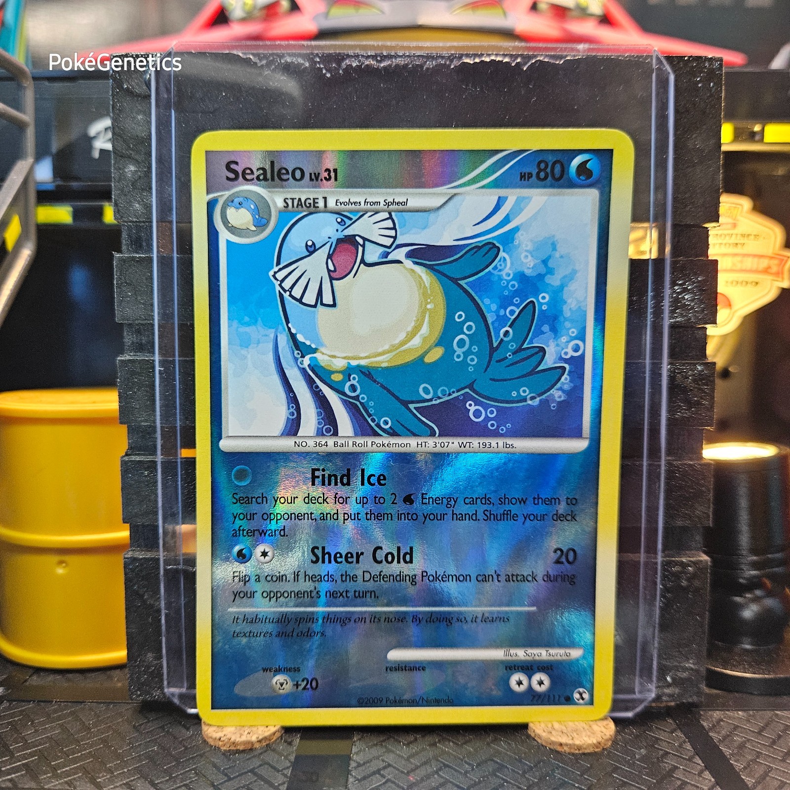 Sealeo Rising Rivals Reverse Holo Pokémon TCG 77/111 Platinum Common