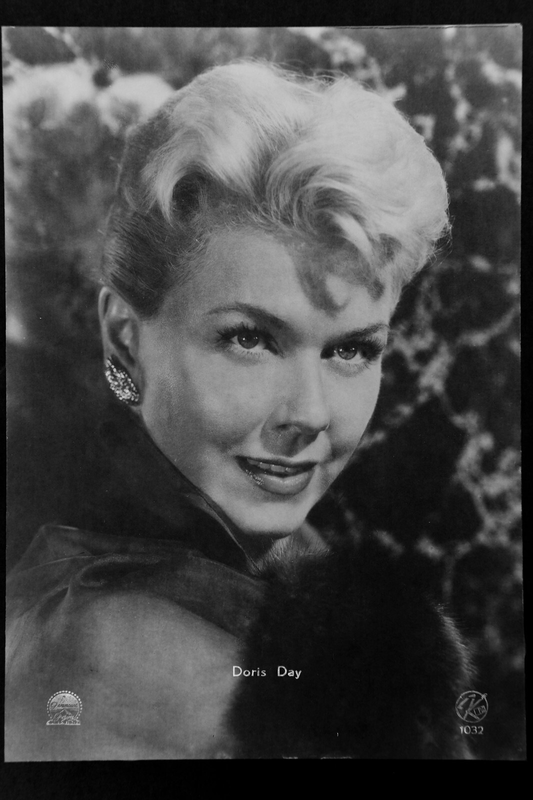 2024 Doris Day Pictures - Page 20 - The Doris Day Forum, image size:1066x1600